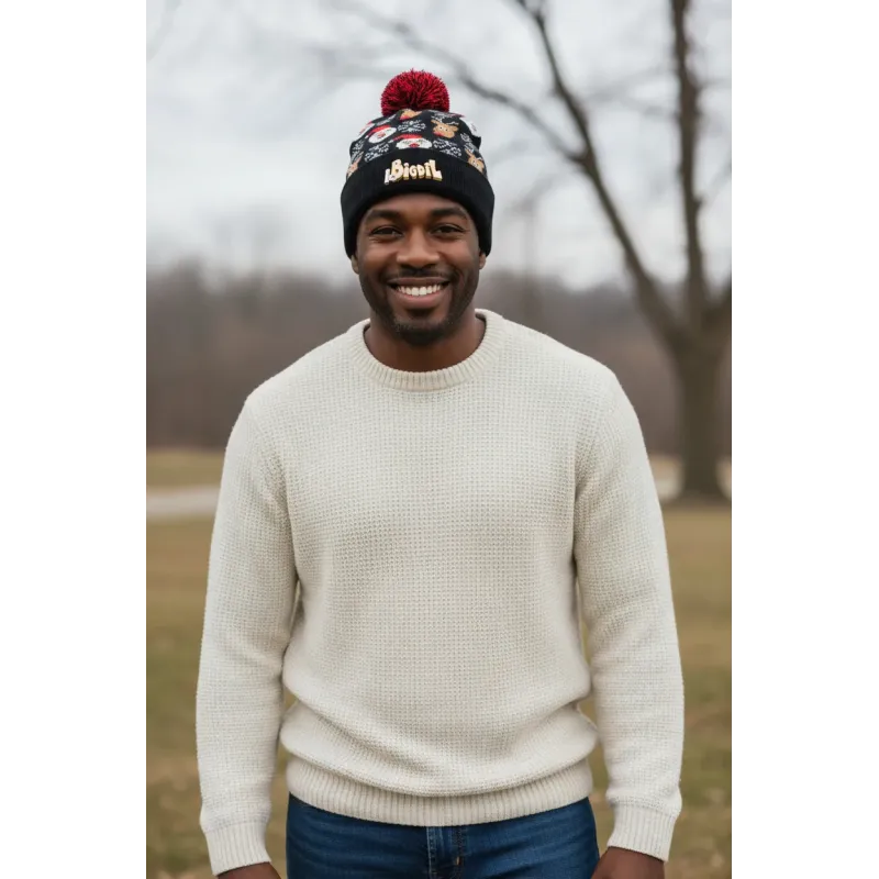 Bonnet de Noël Le Bigdil